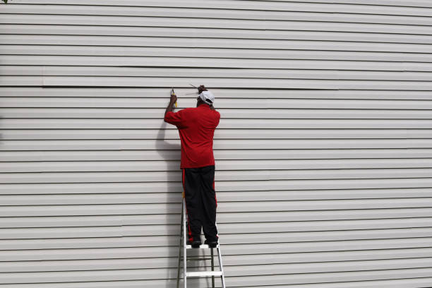 Best Wood Siding Installation  in Cannon Falls, MN